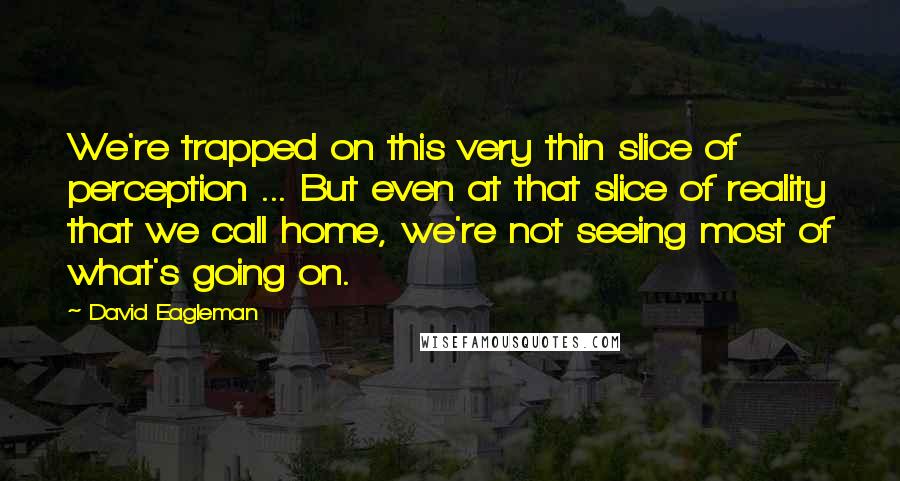 David Eagleman Quotes: We're trapped on this very thin slice of perception ... But even at that slice of reality that we call home, we're not seeing most of what's going on.