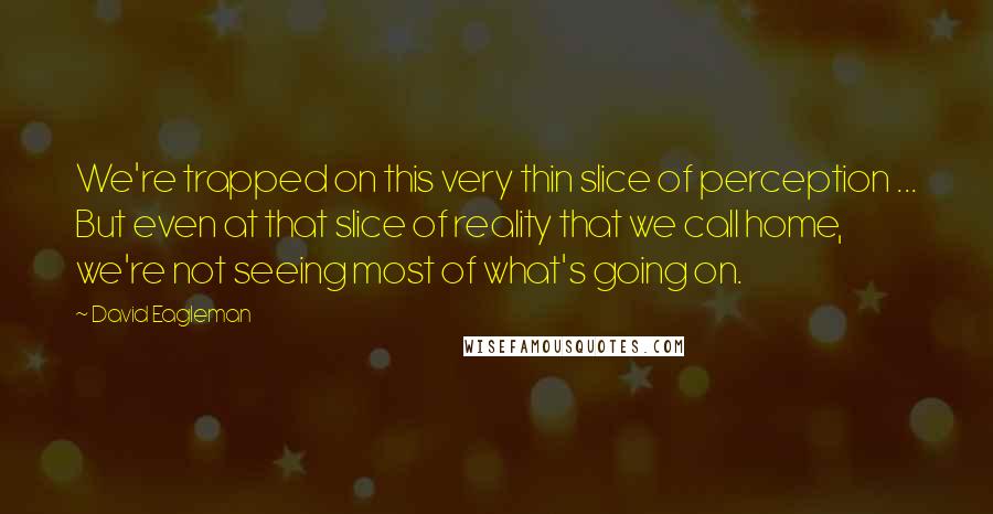 David Eagleman Quotes: We're trapped on this very thin slice of perception ... But even at that slice of reality that we call home, we're not seeing most of what's going on.