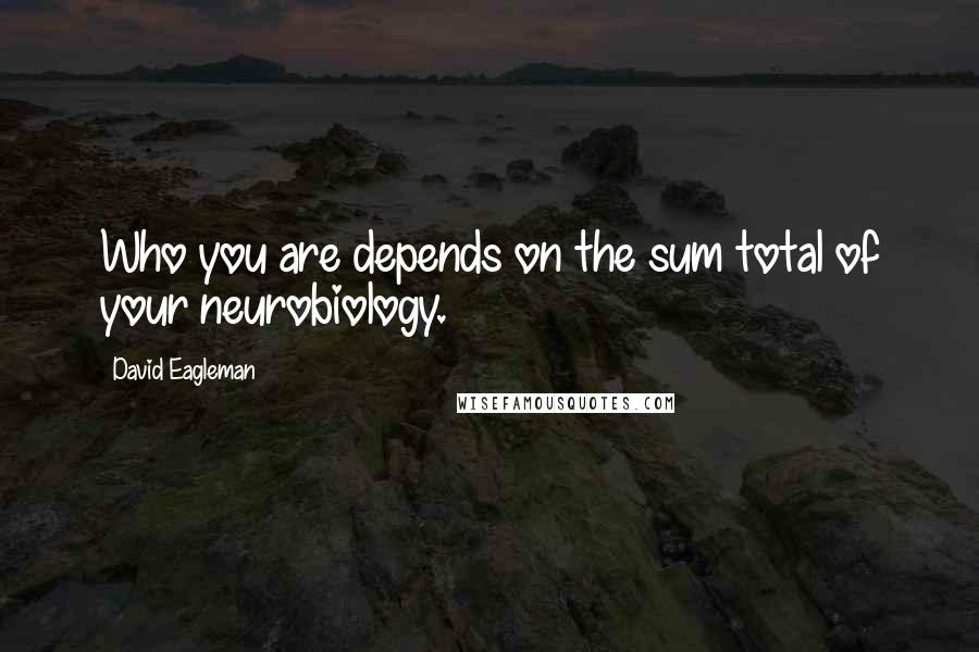 David Eagleman Quotes: Who you are depends on the sum total of your neurobiology.