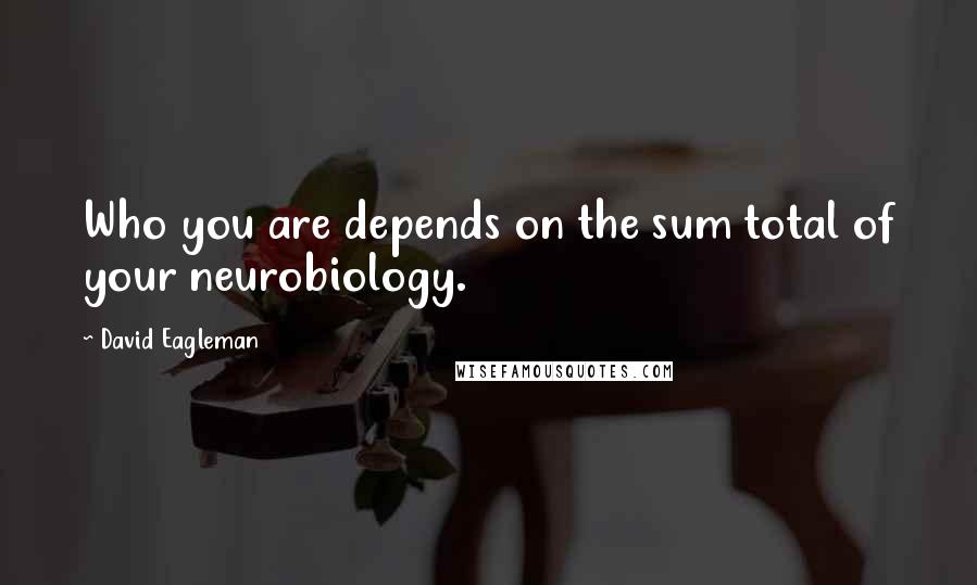 David Eagleman Quotes: Who you are depends on the sum total of your neurobiology.