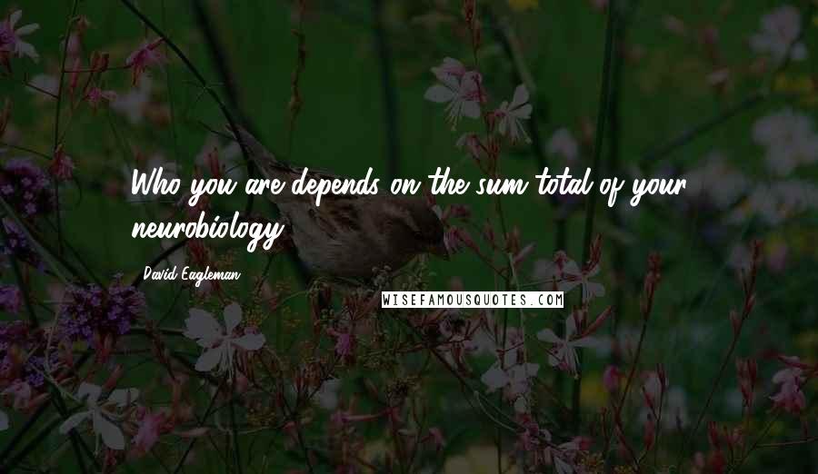 David Eagleman Quotes: Who you are depends on the sum total of your neurobiology.