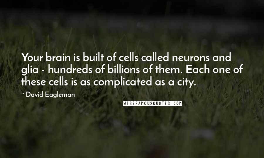 David Eagleman Quotes: Your brain is built of cells called neurons and glia - hundreds of billions of them. Each one of these cells is as complicated as a city.