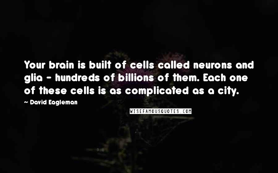 David Eagleman Quotes: Your brain is built of cells called neurons and glia - hundreds of billions of them. Each one of these cells is as complicated as a city.