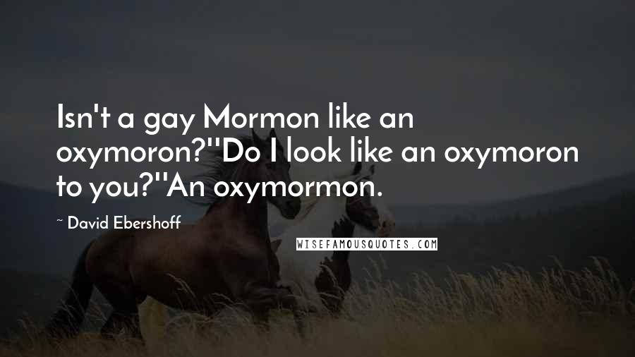 David Ebershoff Quotes: Isn't a gay Mormon like an oxymoron?''Do I look like an oxymoron to you?''An oxymormon.