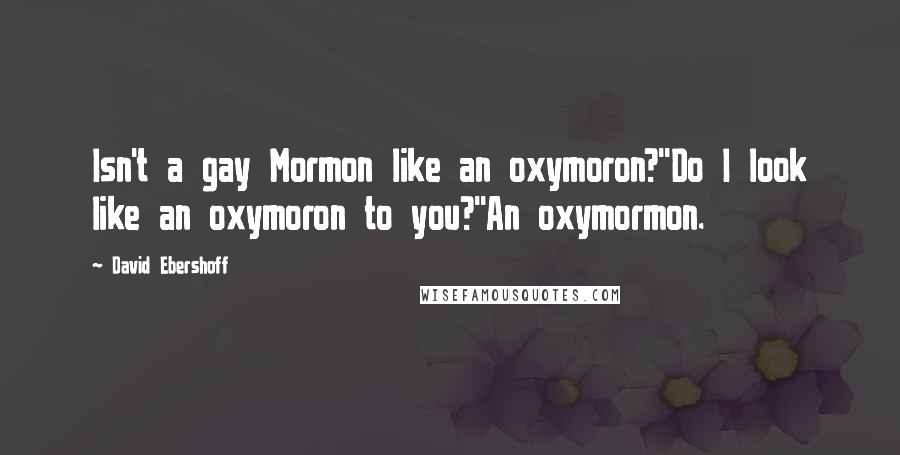 David Ebershoff Quotes: Isn't a gay Mormon like an oxymoron?''Do I look like an oxymoron to you?''An oxymormon.