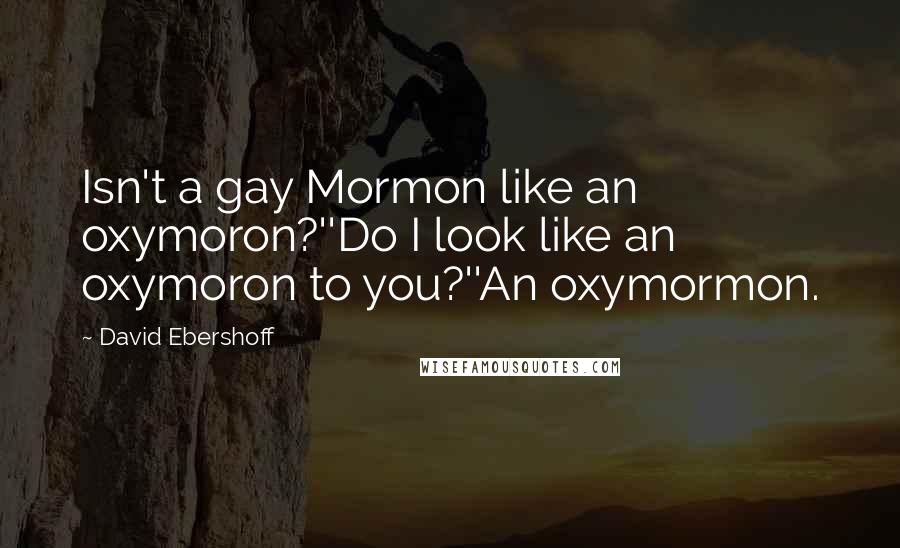 David Ebershoff Quotes: Isn't a gay Mormon like an oxymoron?''Do I look like an oxymoron to you?''An oxymormon.