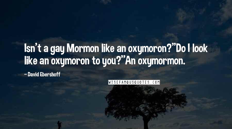 David Ebershoff Quotes: Isn't a gay Mormon like an oxymoron?''Do I look like an oxymoron to you?''An oxymormon.