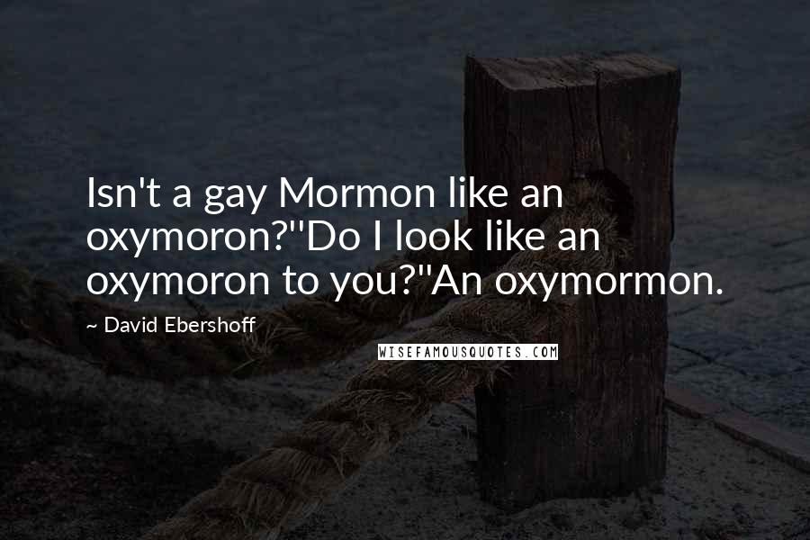 David Ebershoff Quotes: Isn't a gay Mormon like an oxymoron?''Do I look like an oxymoron to you?''An oxymormon.