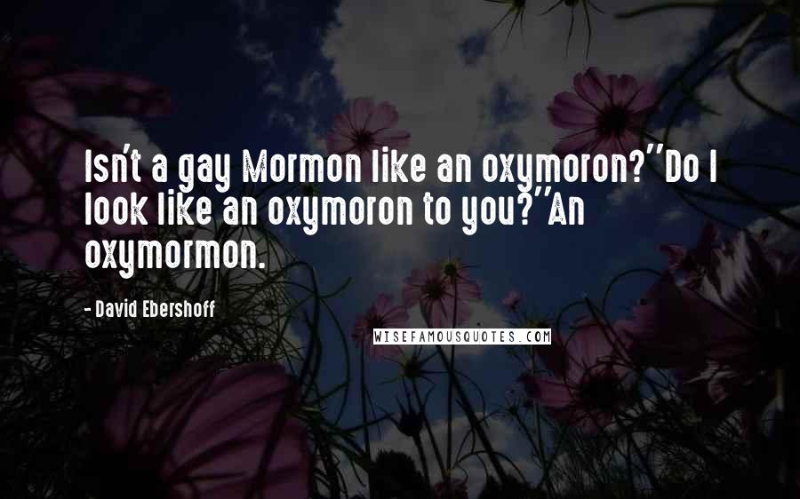 David Ebershoff Quotes: Isn't a gay Mormon like an oxymoron?''Do I look like an oxymoron to you?''An oxymormon.