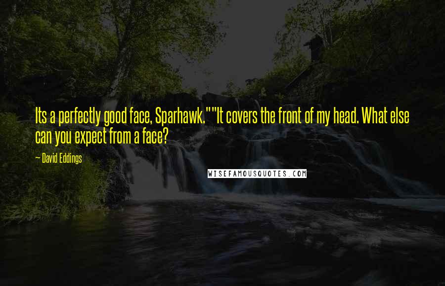 David Eddings Quotes: Its a perfectly good face, Sparhawk.""It covers the front of my head. What else can you expect from a face?