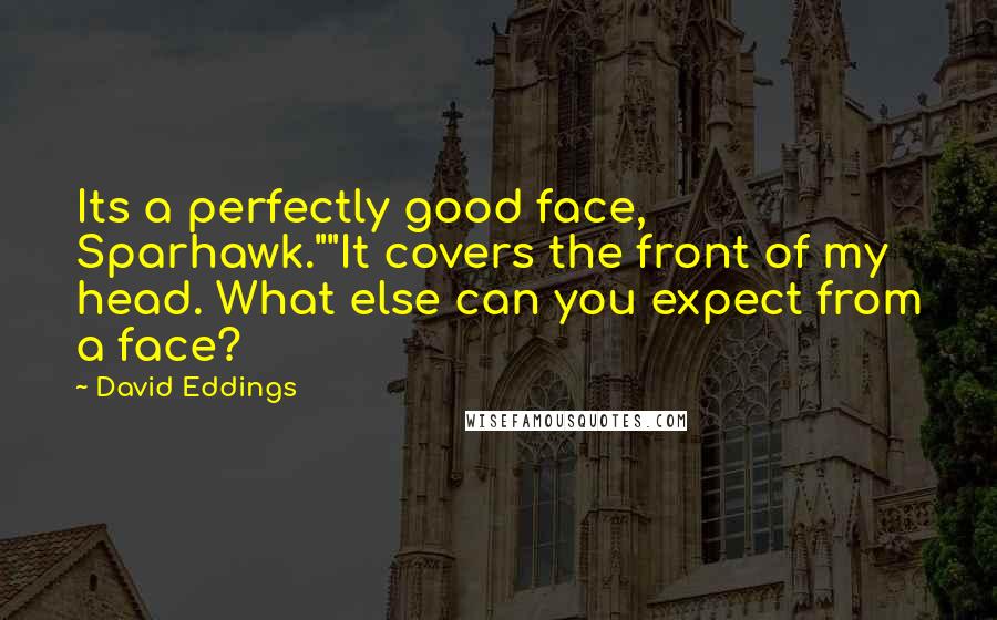 David Eddings Quotes: Its a perfectly good face, Sparhawk.""It covers the front of my head. What else can you expect from a face?
