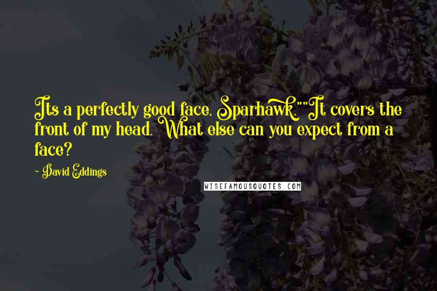 David Eddings Quotes: Its a perfectly good face, Sparhawk.""It covers the front of my head. What else can you expect from a face?