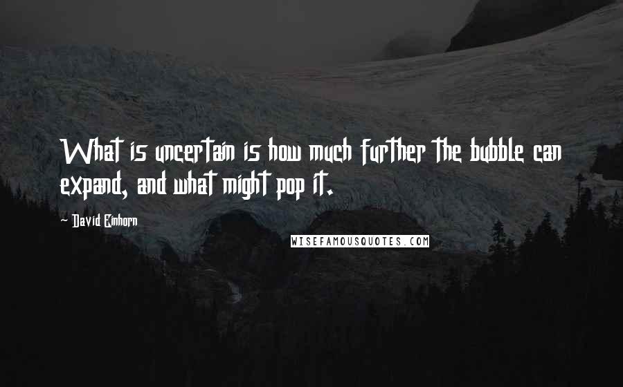David Einhorn Quotes: What is uncertain is how much further the bubble can expand, and what might pop it.