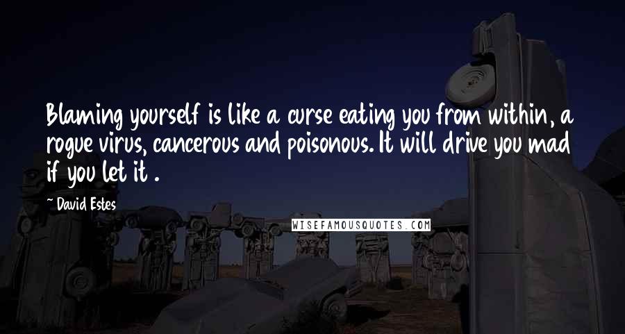 David Estes Quotes: Blaming yourself is like a curse eating you from within, a rogue virus, cancerous and poisonous. It will drive you mad if you let it .