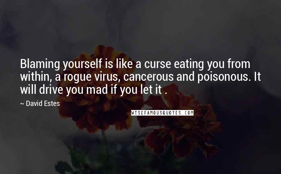 David Estes Quotes: Blaming yourself is like a curse eating you from within, a rogue virus, cancerous and poisonous. It will drive you mad if you let it .