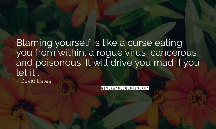David Estes Quotes: Blaming yourself is like a curse eating you from within, a rogue virus, cancerous and poisonous. It will drive you mad if you let it .
