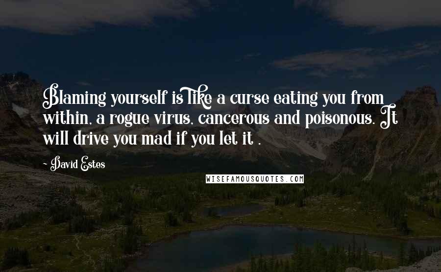 David Estes Quotes: Blaming yourself is like a curse eating you from within, a rogue virus, cancerous and poisonous. It will drive you mad if you let it .