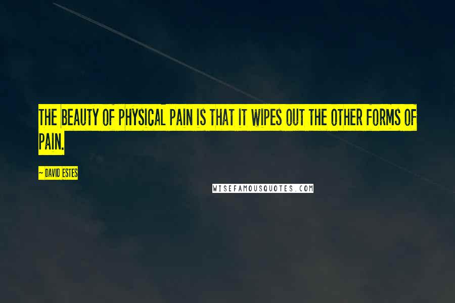 David Estes Quotes: The beauty of physical pain is that it wipes out the other forms of pain.
