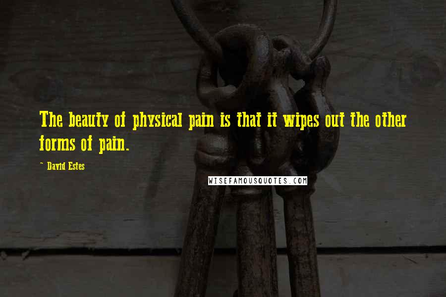 David Estes Quotes: The beauty of physical pain is that it wipes out the other forms of pain.