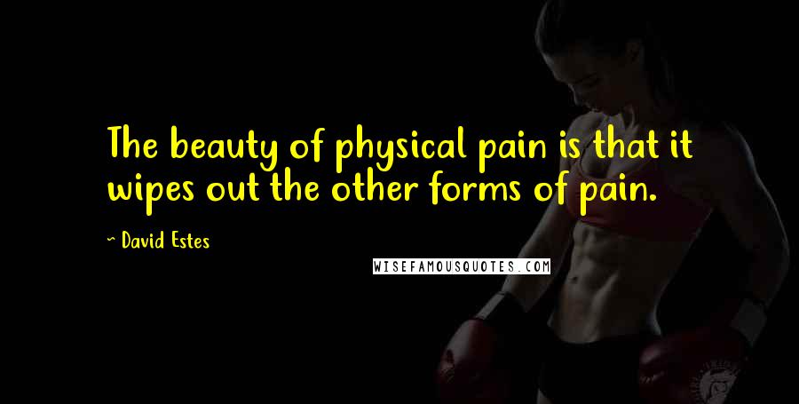 David Estes Quotes: The beauty of physical pain is that it wipes out the other forms of pain.