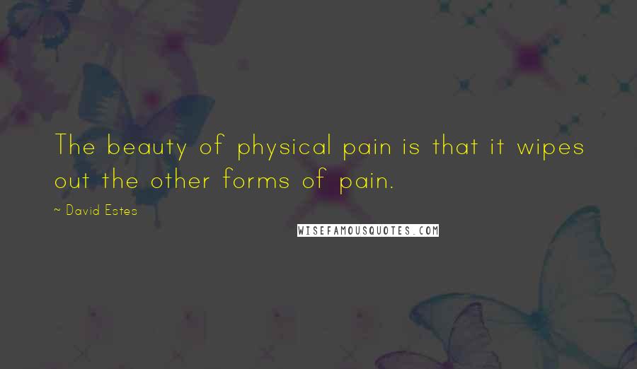 David Estes Quotes: The beauty of physical pain is that it wipes out the other forms of pain.