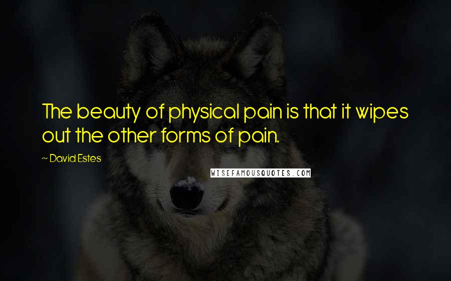 David Estes Quotes: The beauty of physical pain is that it wipes out the other forms of pain.