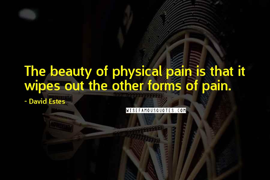 David Estes Quotes: The beauty of physical pain is that it wipes out the other forms of pain.