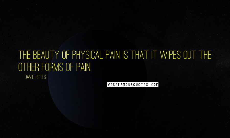 David Estes Quotes: The beauty of physical pain is that it wipes out the other forms of pain.