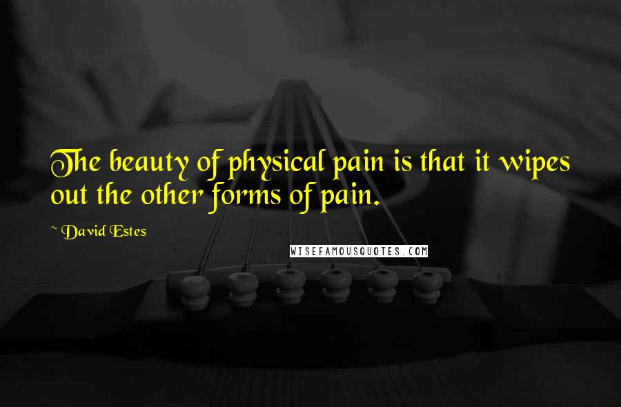 David Estes Quotes: The beauty of physical pain is that it wipes out the other forms of pain.