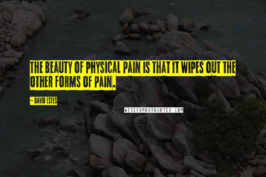 David Estes Quotes: The beauty of physical pain is that it wipes out the other forms of pain.