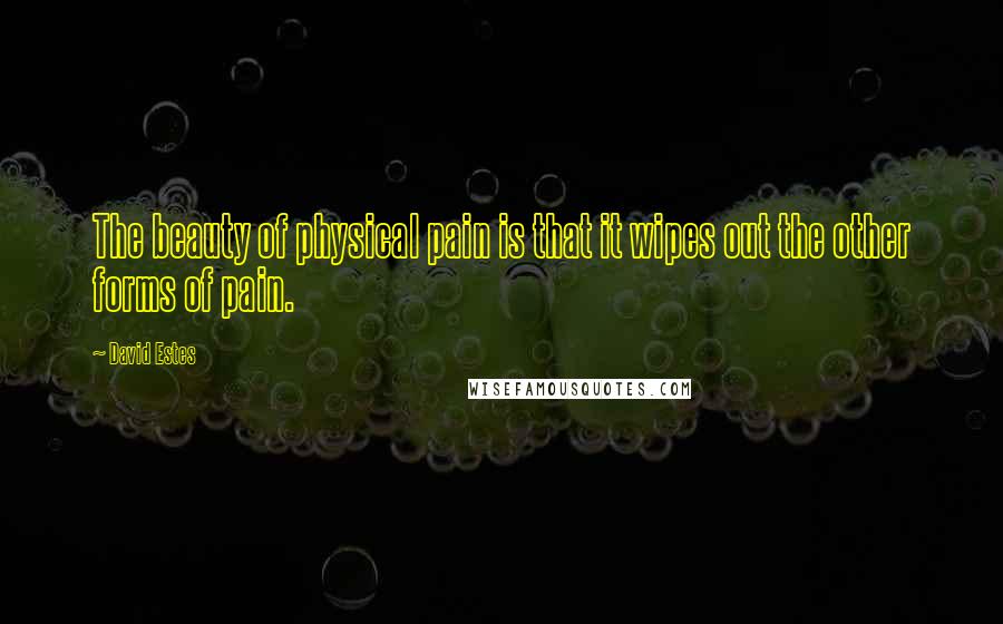 David Estes Quotes: The beauty of physical pain is that it wipes out the other forms of pain.