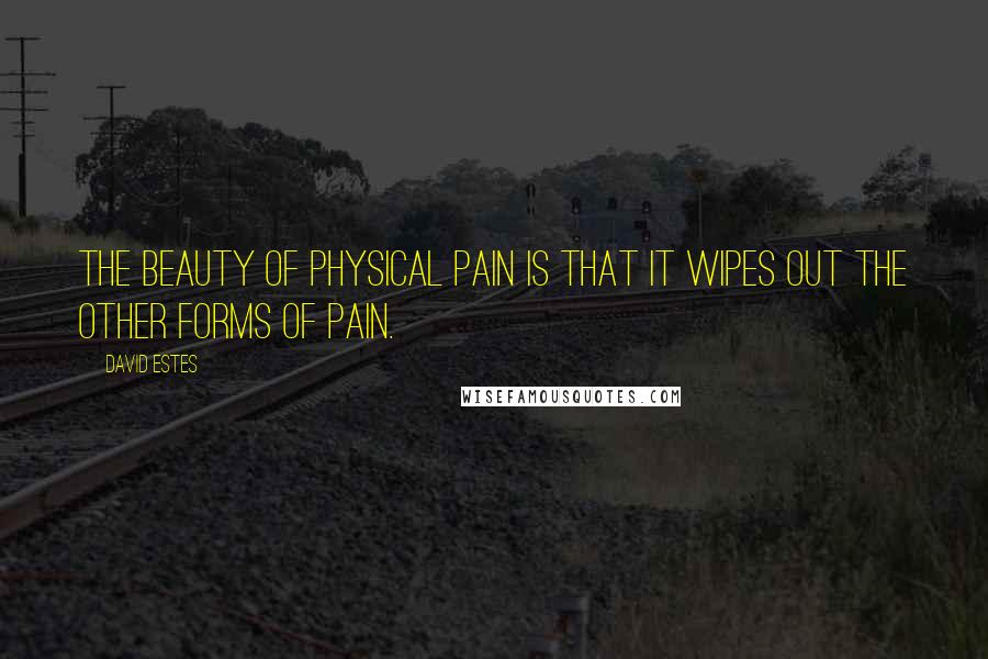 David Estes Quotes: The beauty of physical pain is that it wipes out the other forms of pain.