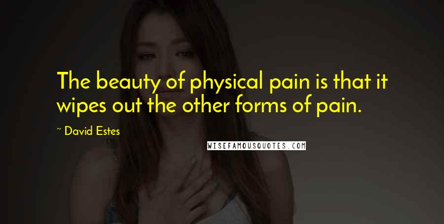 David Estes Quotes: The beauty of physical pain is that it wipes out the other forms of pain.