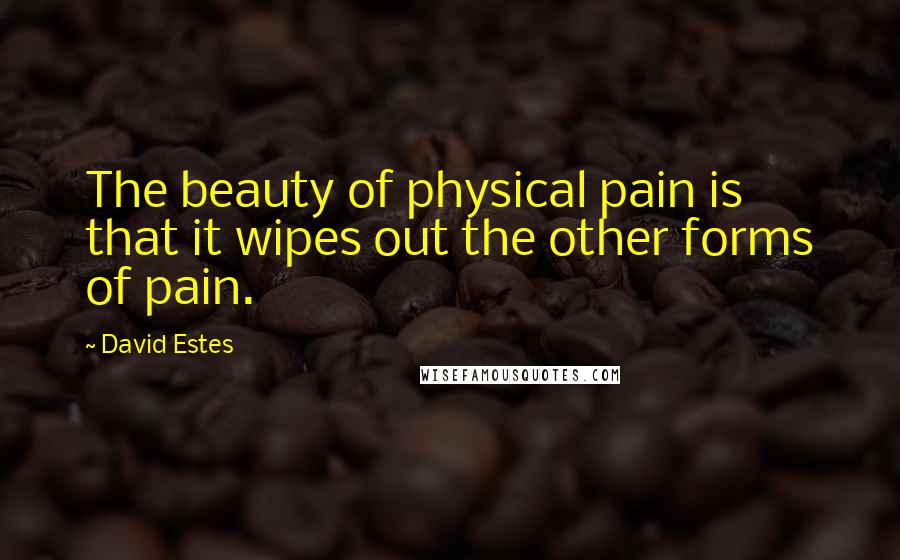 David Estes Quotes: The beauty of physical pain is that it wipes out the other forms of pain.