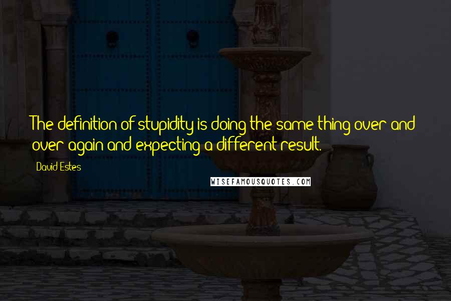 David Estes Quotes: The definition of stupidity is doing the same thing over and over again and expecting a different result.