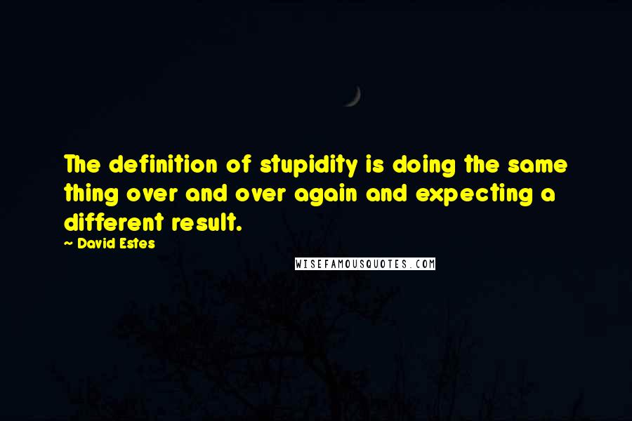 David Estes Quotes: The definition of stupidity is doing the same thing over and over again and expecting a different result.