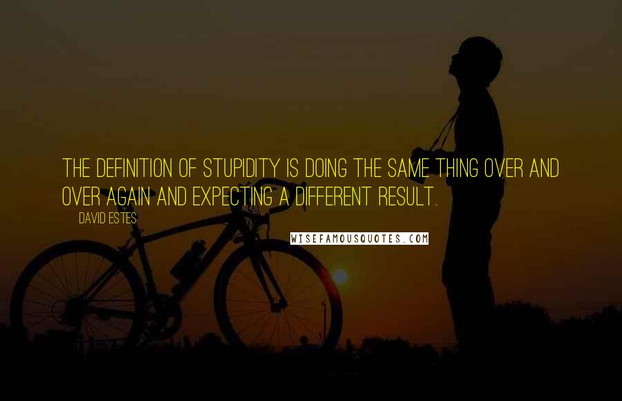 David Estes Quotes: The definition of stupidity is doing the same thing over and over again and expecting a different result.