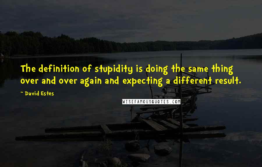 David Estes Quotes: The definition of stupidity is doing the same thing over and over again and expecting a different result.