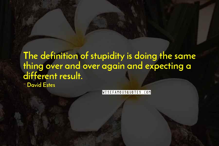 David Estes Quotes: The definition of stupidity is doing the same thing over and over again and expecting a different result.