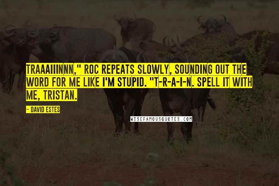 David Estes Quotes: Traaaiiinnn," Roc repeats slowly, sounding out the word for me like I'm stupid. "T-R-A-I-N. Spell it with me, Tristan.