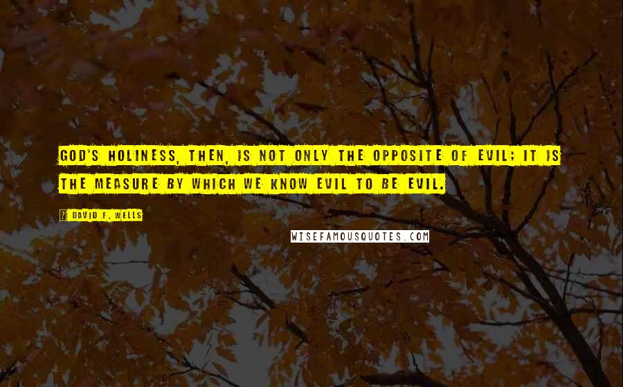 David F. Wells Quotes: God's holiness, then, is not only the opposite of evil; it is the measure by which we know evil to be evil.