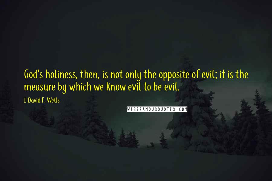David F. Wells Quotes: God's holiness, then, is not only the opposite of evil; it is the measure by which we know evil to be evil.