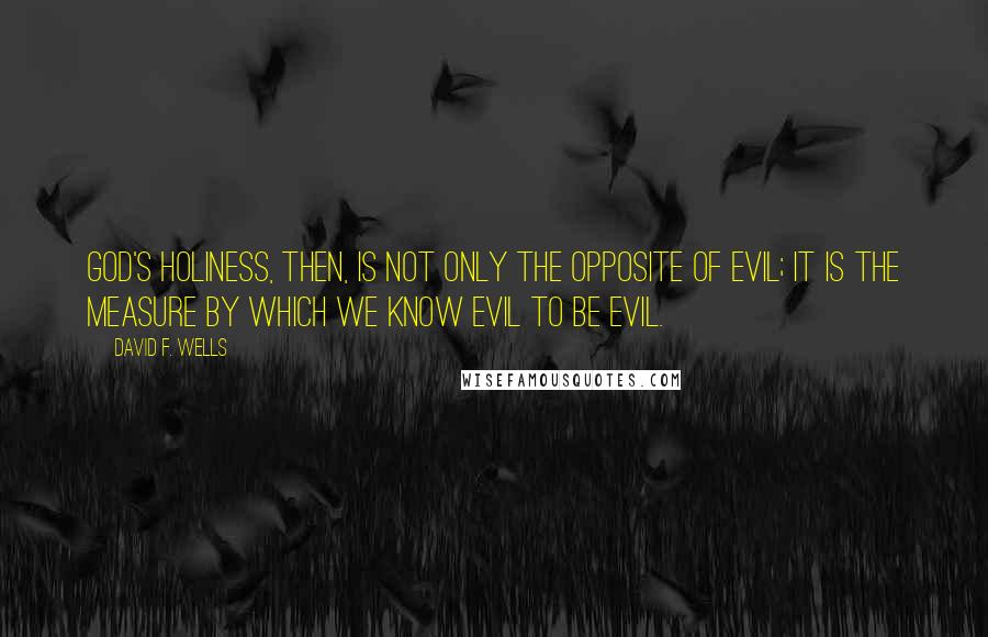 David F. Wells Quotes: God's holiness, then, is not only the opposite of evil; it is the measure by which we know evil to be evil.