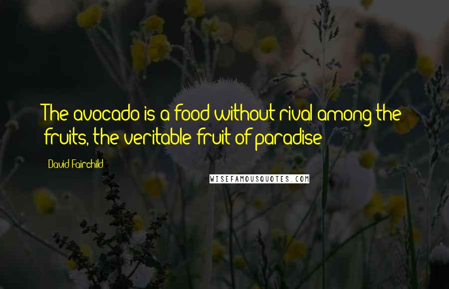 David Fairchild Quotes: The avocado is a food without rival among the fruits, the veritable fruit of paradise