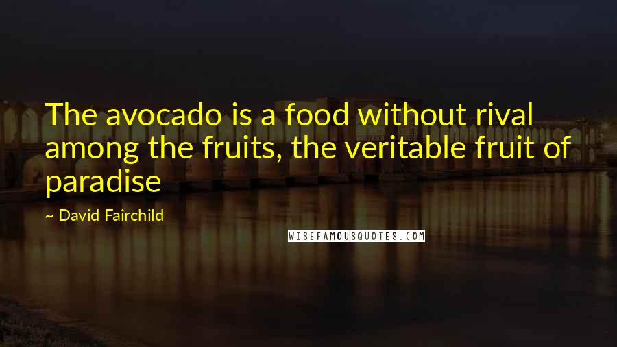 David Fairchild Quotes: The avocado is a food without rival among the fruits, the veritable fruit of paradise