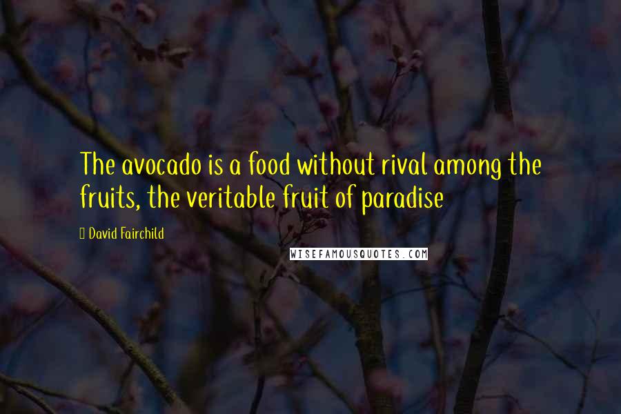 David Fairchild Quotes: The avocado is a food without rival among the fruits, the veritable fruit of paradise