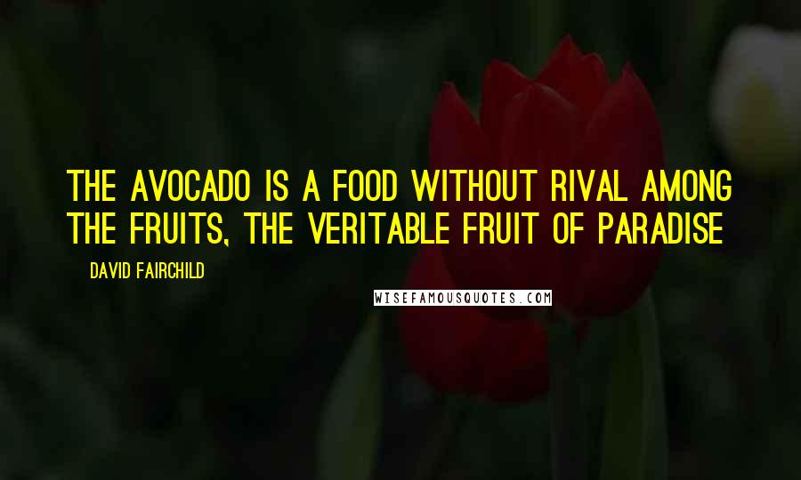 David Fairchild Quotes: The avocado is a food without rival among the fruits, the veritable fruit of paradise