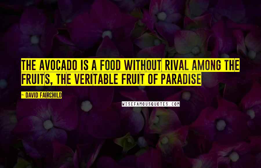 David Fairchild Quotes: The avocado is a food without rival among the fruits, the veritable fruit of paradise