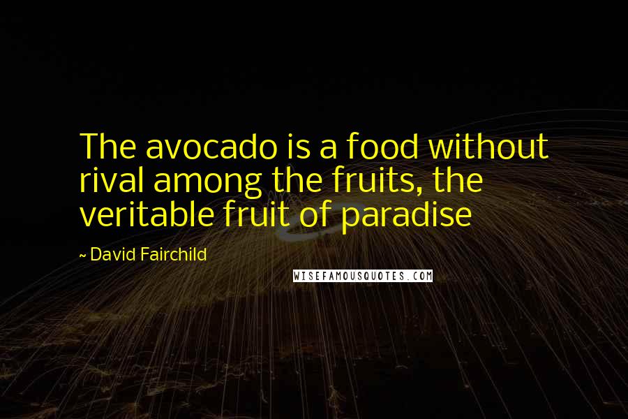 David Fairchild Quotes: The avocado is a food without rival among the fruits, the veritable fruit of paradise