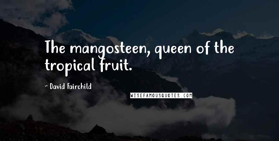 David Fairchild Quotes: The mangosteen, queen of the tropical fruit.